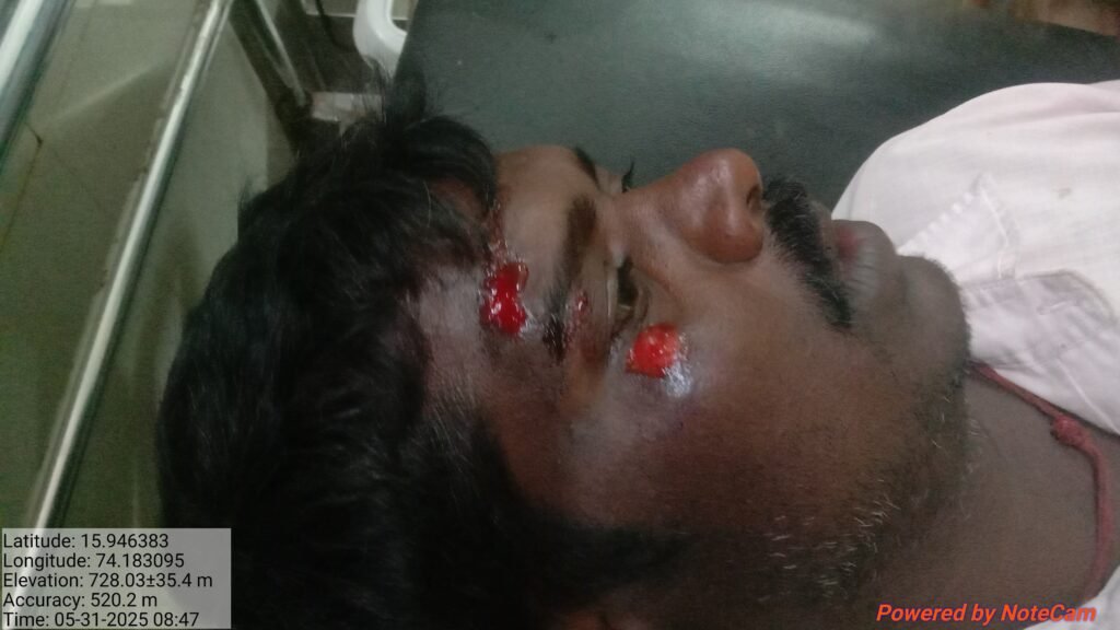 गवा रेडा दुचाकीला धडकला : दुचाकीस्वार गंभीर  