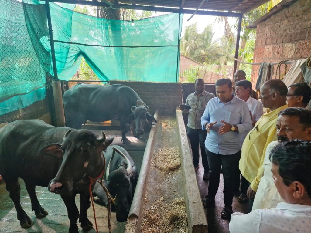 गोकुळ’च्या वासरू संगोपनातून दुग्ध व्यवसायाला नवेबळ ; 